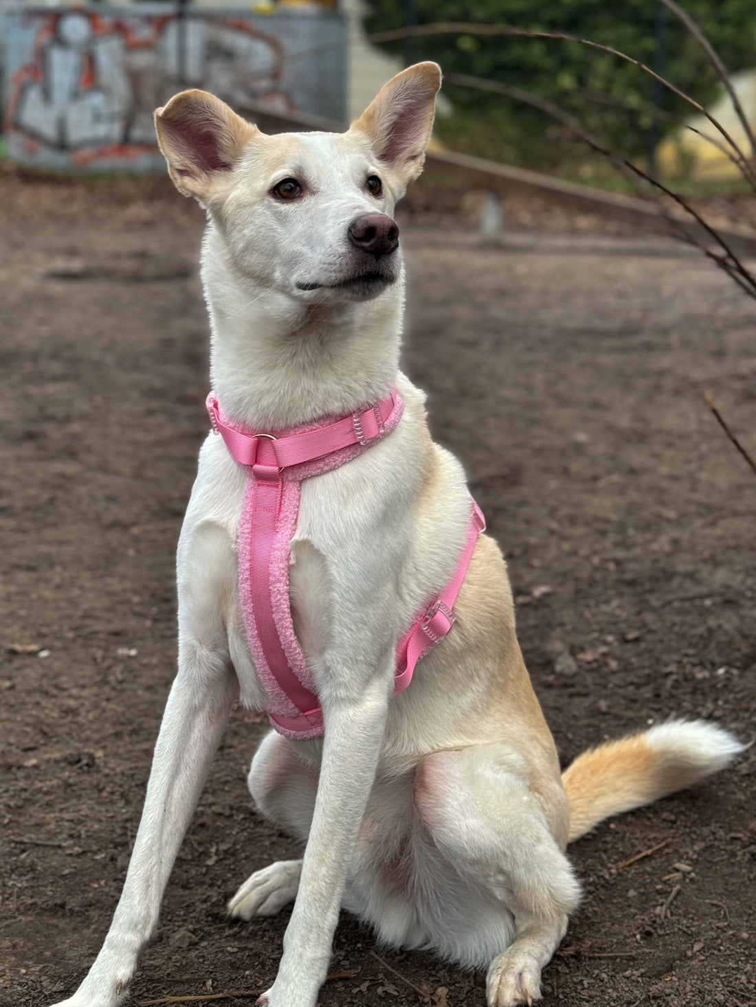 Fluffy Harness Set - Pink
