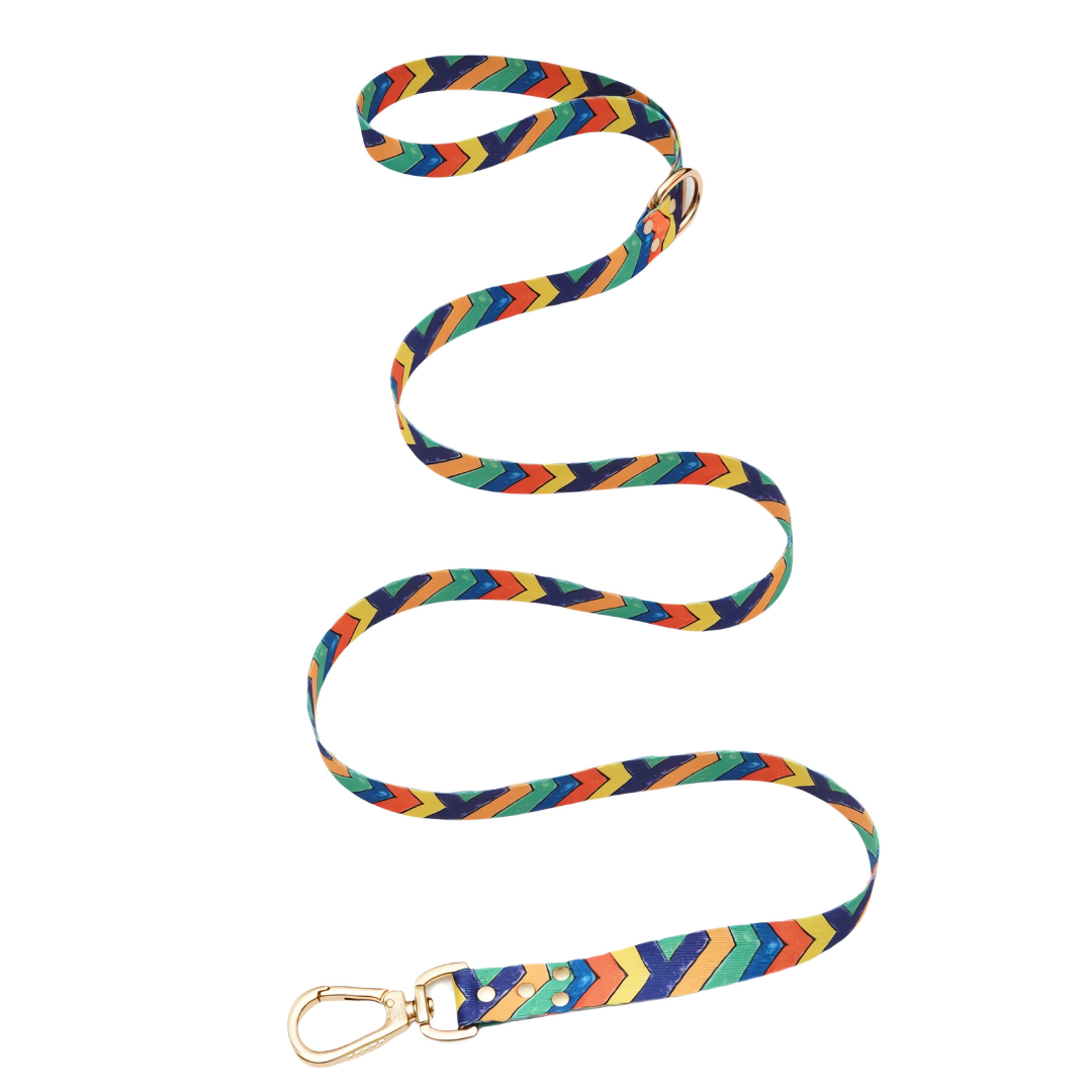 FESTIVAL Leash