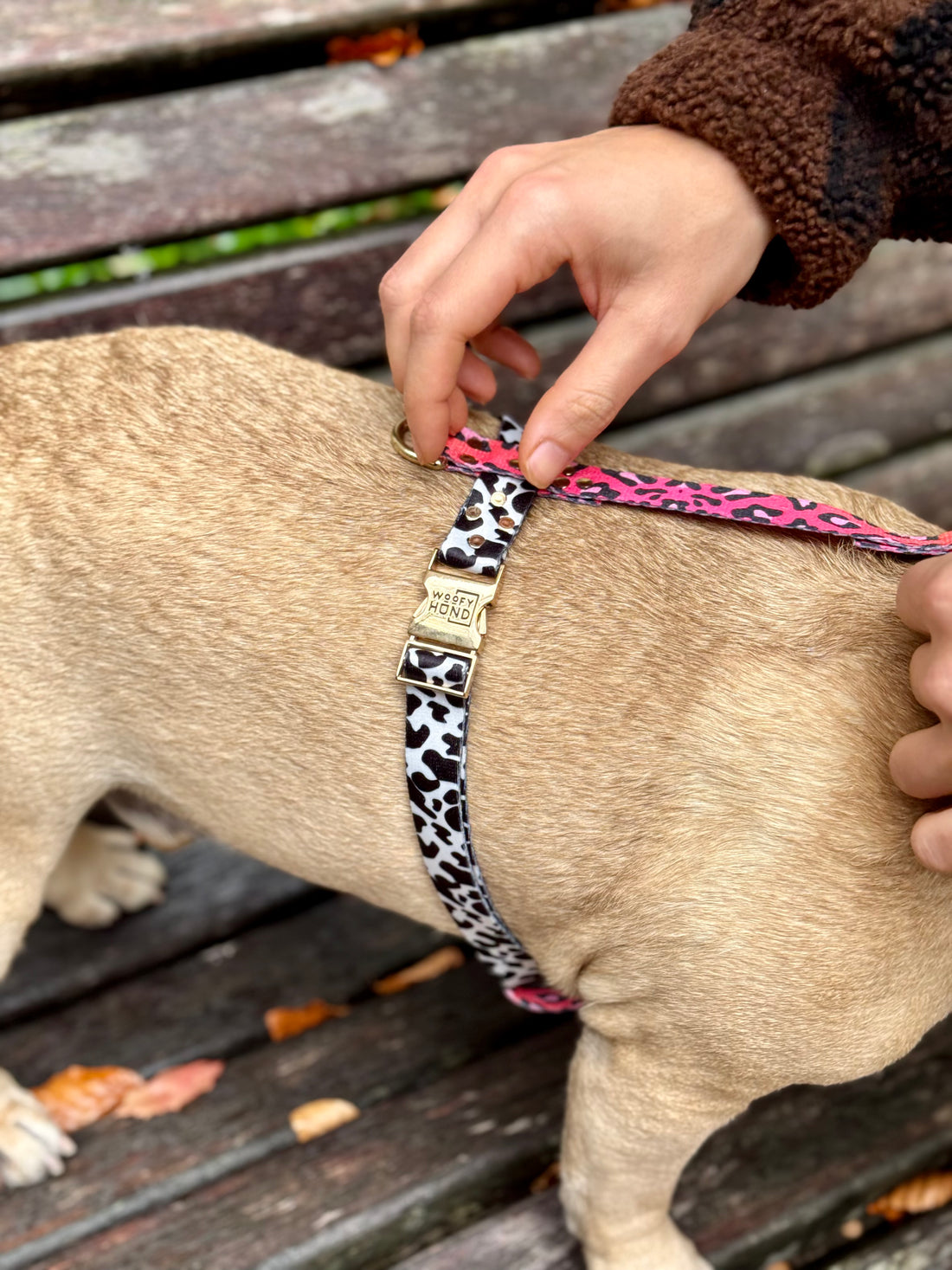CANDY MIX Harness