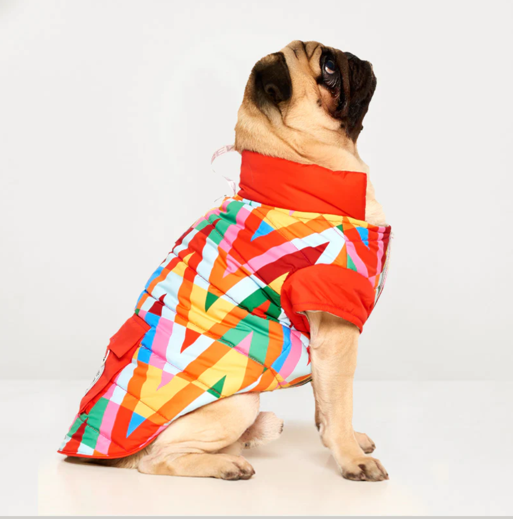 Color Splash Waterproof Puffer Jacket