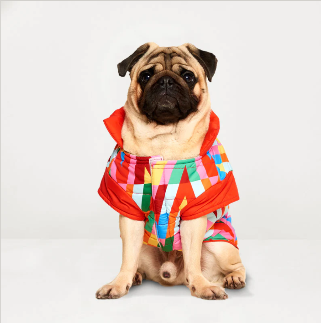 Color Splash Waterproof Puffer Jacket