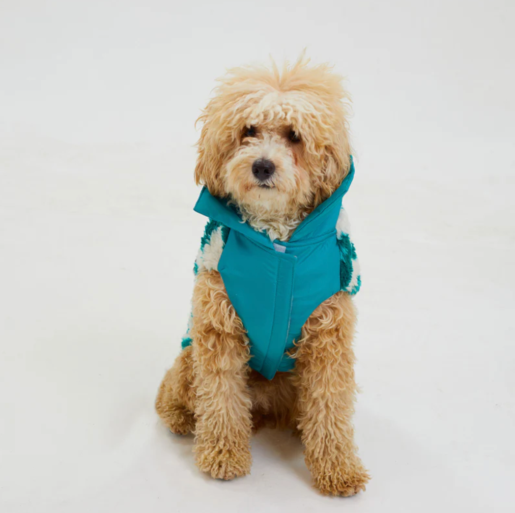 Turquoise Fleece Jacket