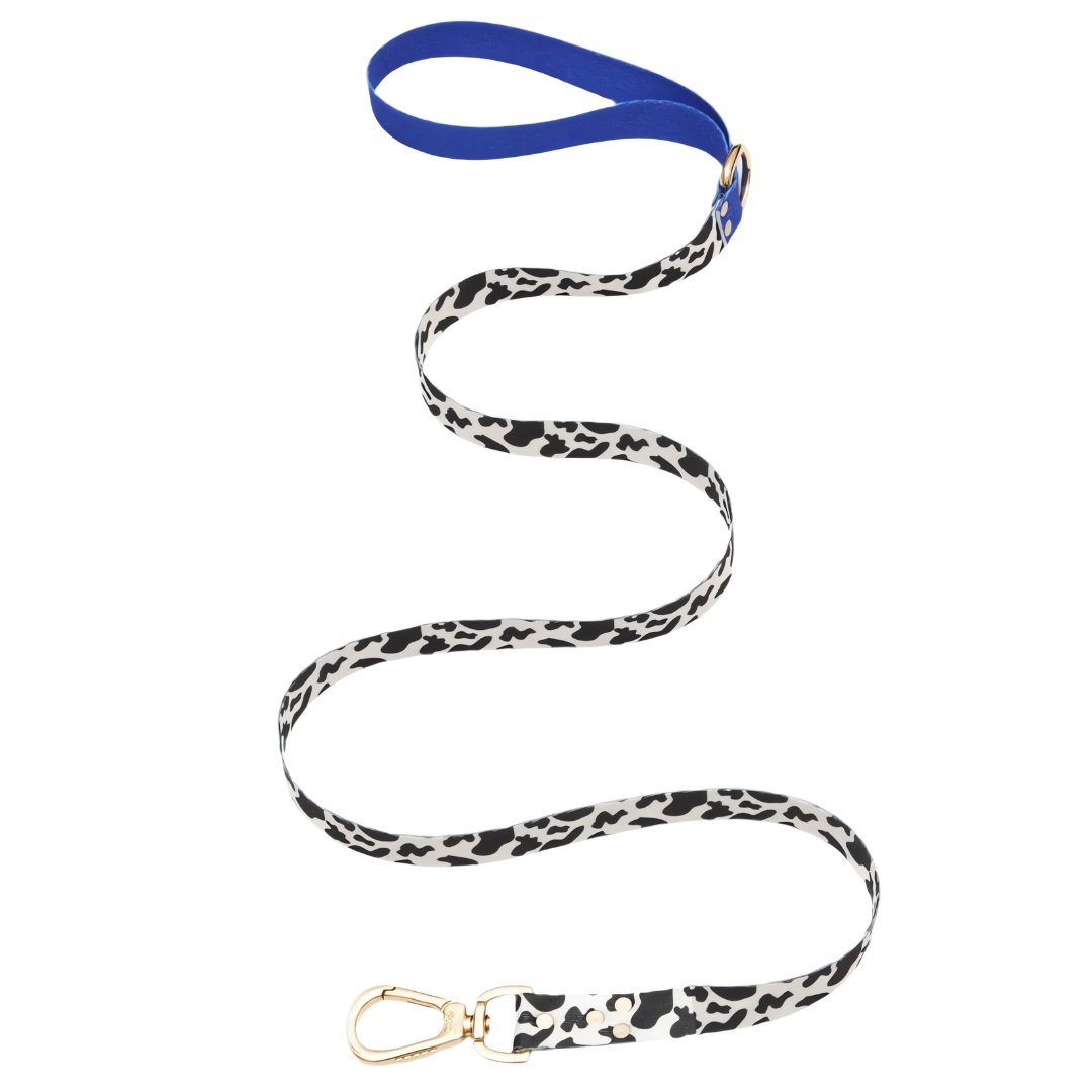BLUEBERRY Leash