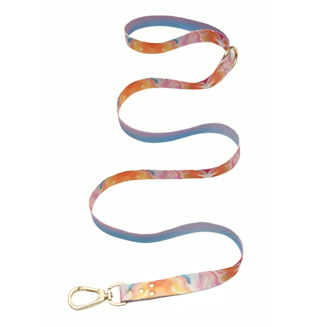 AURORA Leash