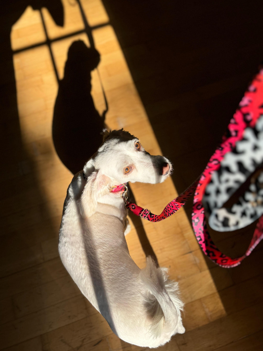 CANDY MIX Hands Free