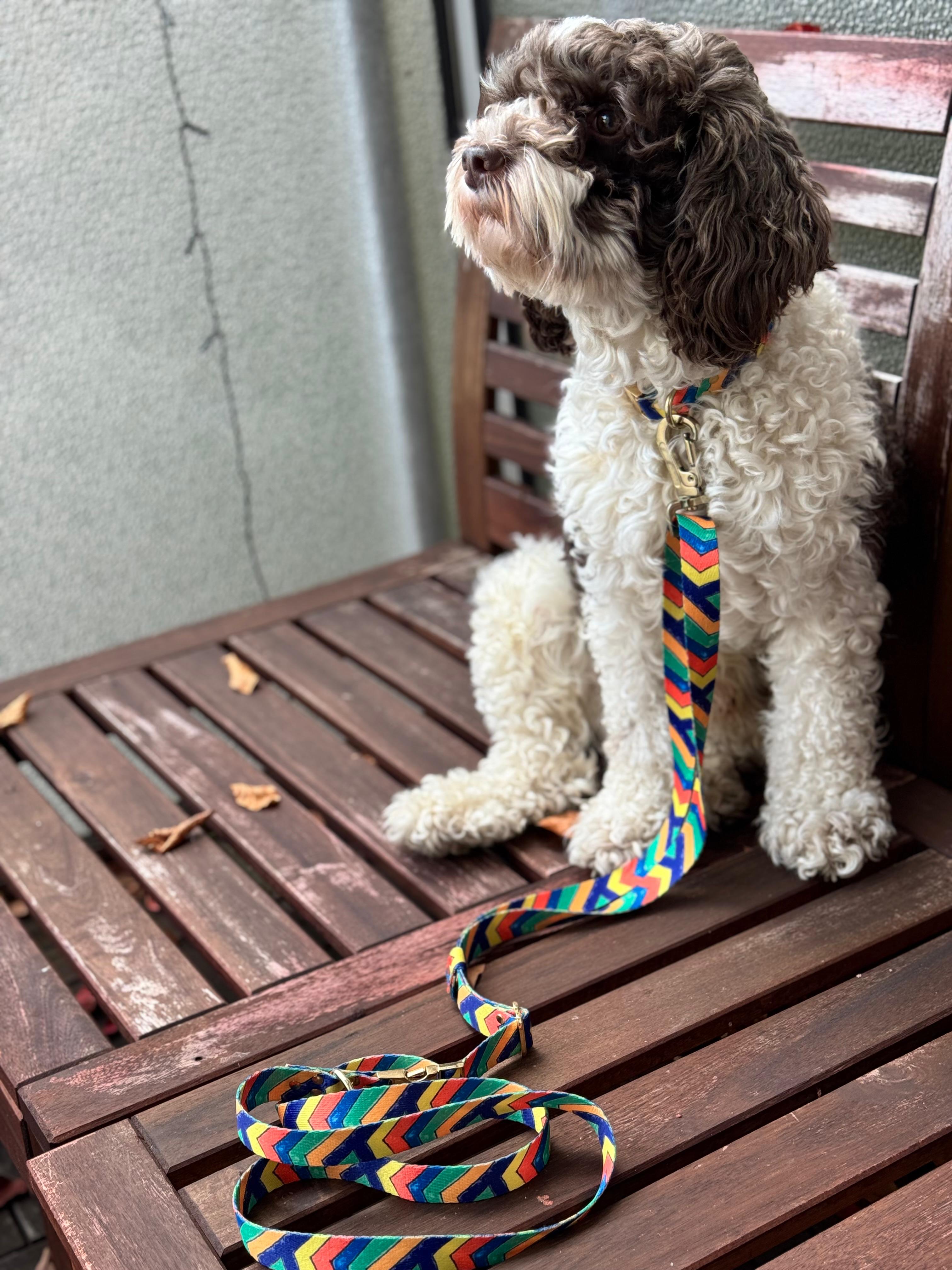 FESTIVAL Collar