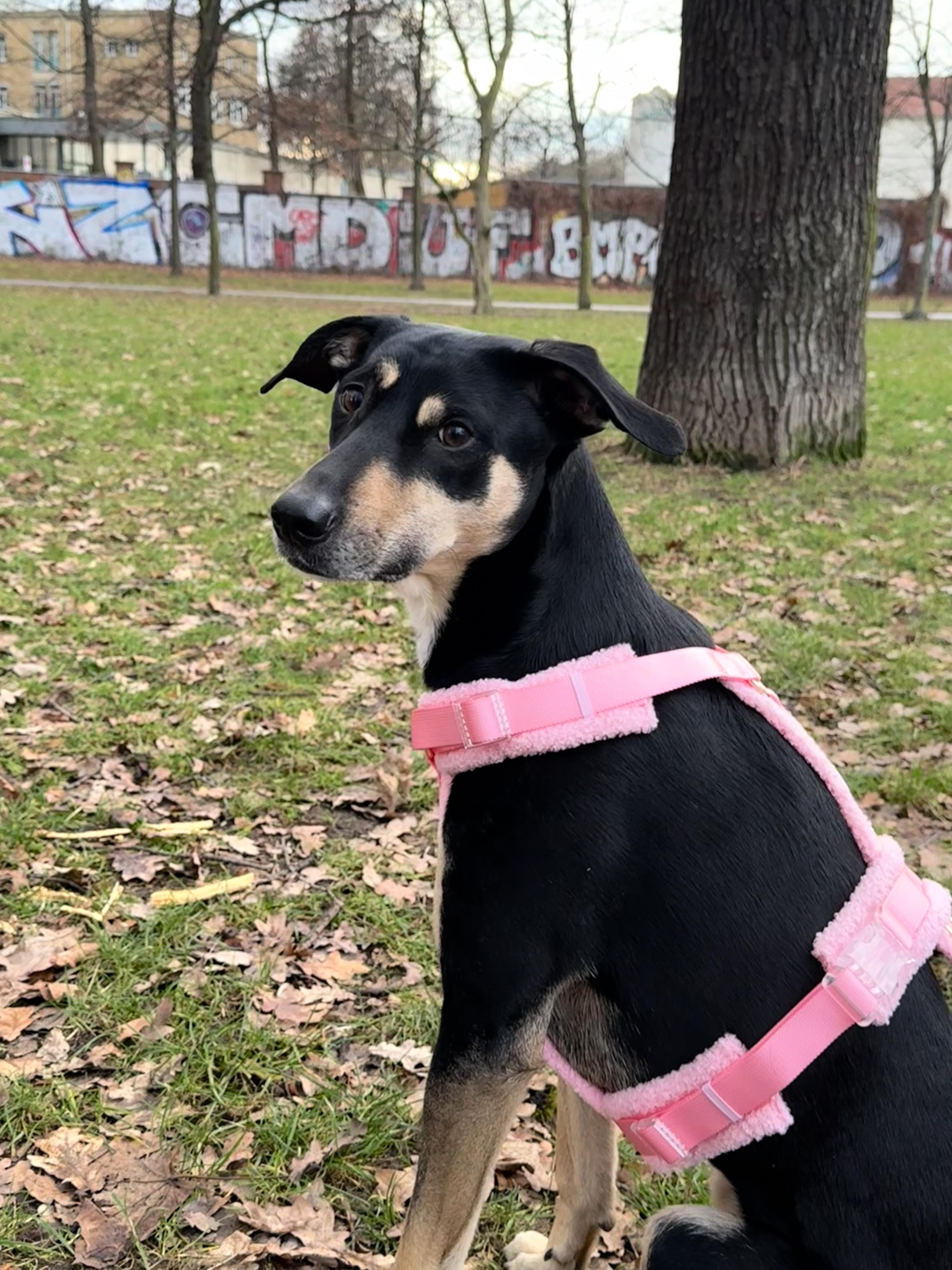 Fluffy Harness Set - Pink