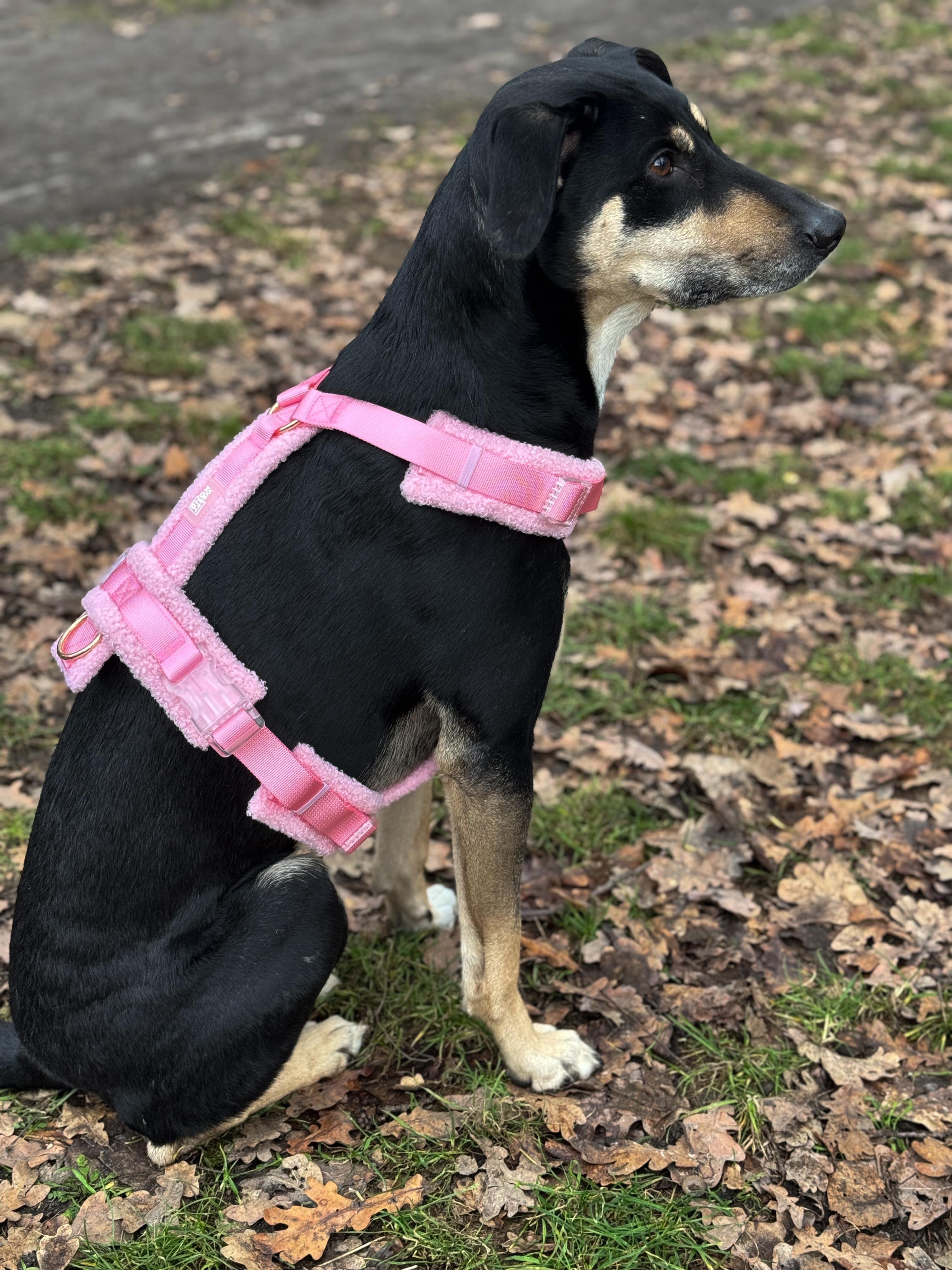 Fluffy Harness Set - Pink