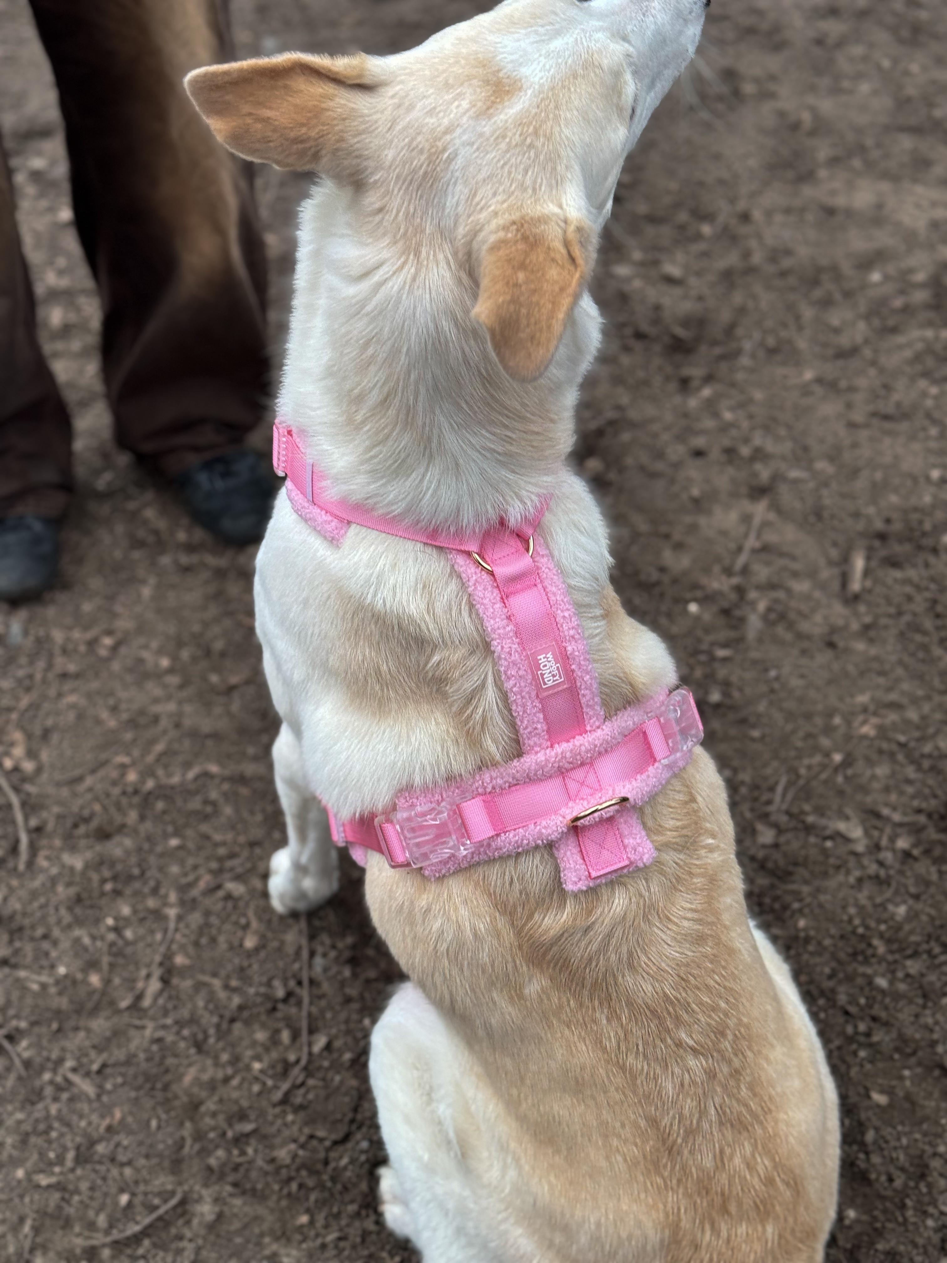 Fluffy Harness Set - Pink