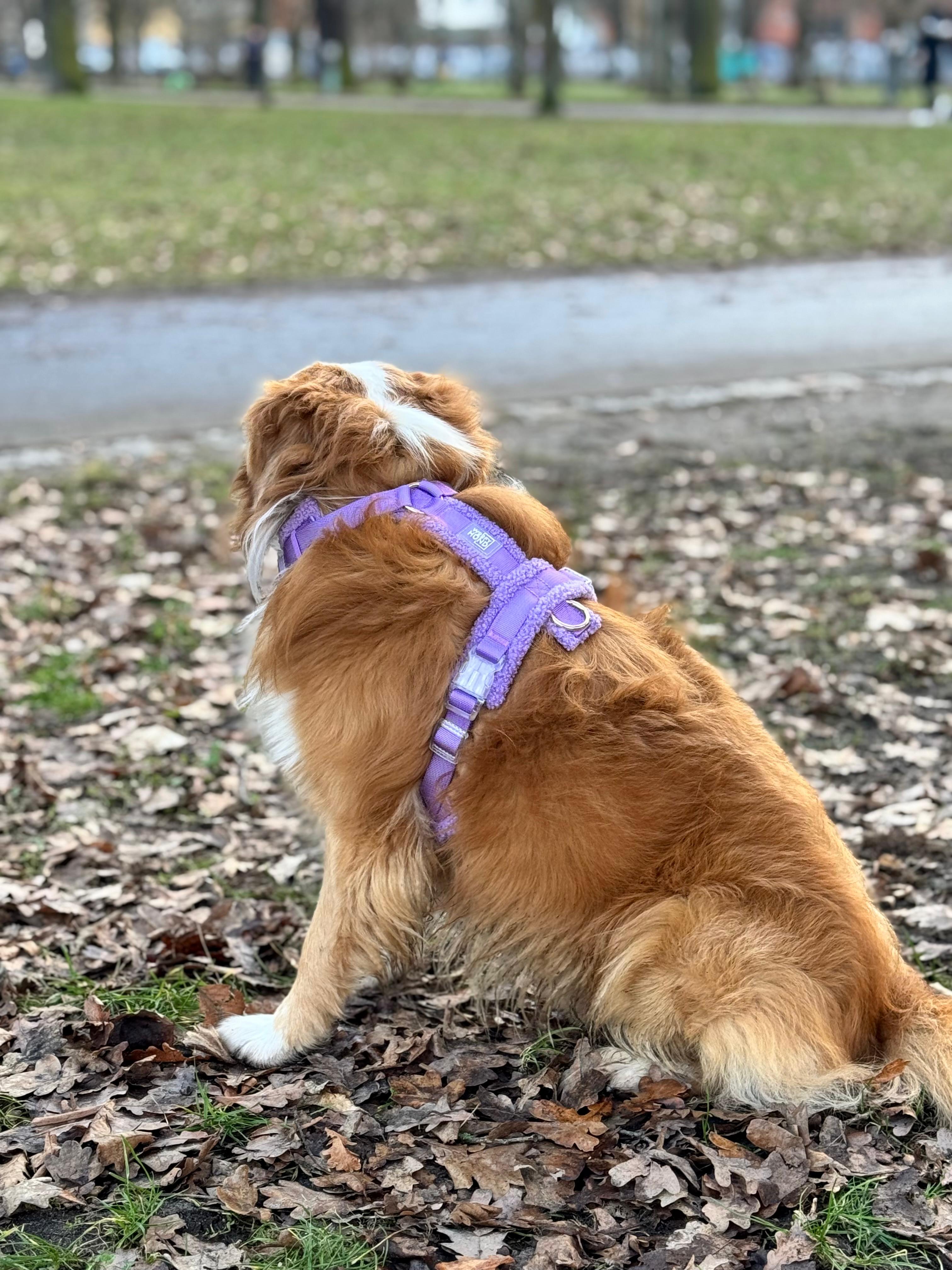 Fluffy Harness Set - Purple