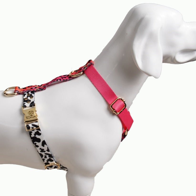 Grundlegendes Geschirr CANDY MİX - Woofy HundHARNESS