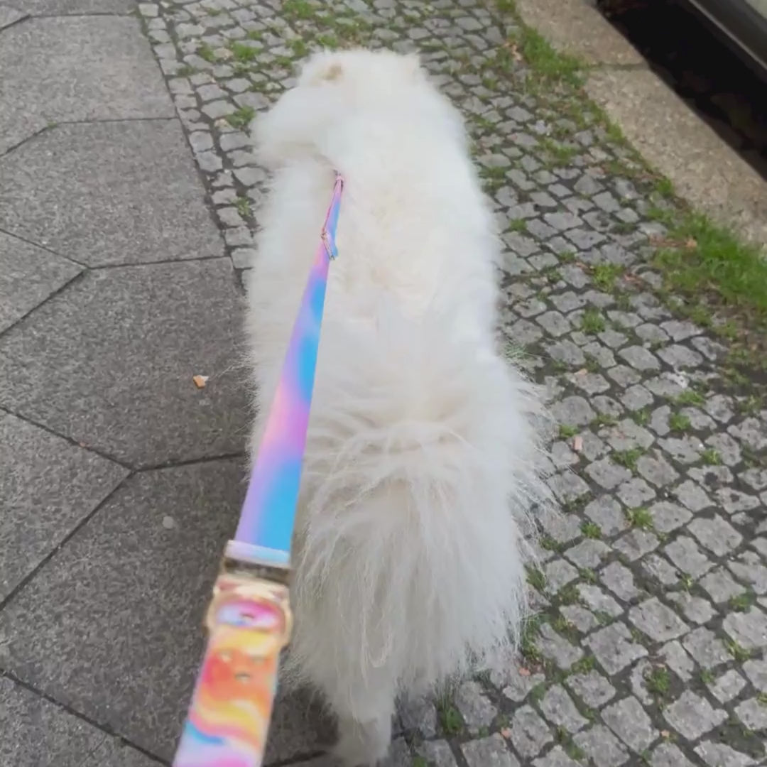 AURORA Leash