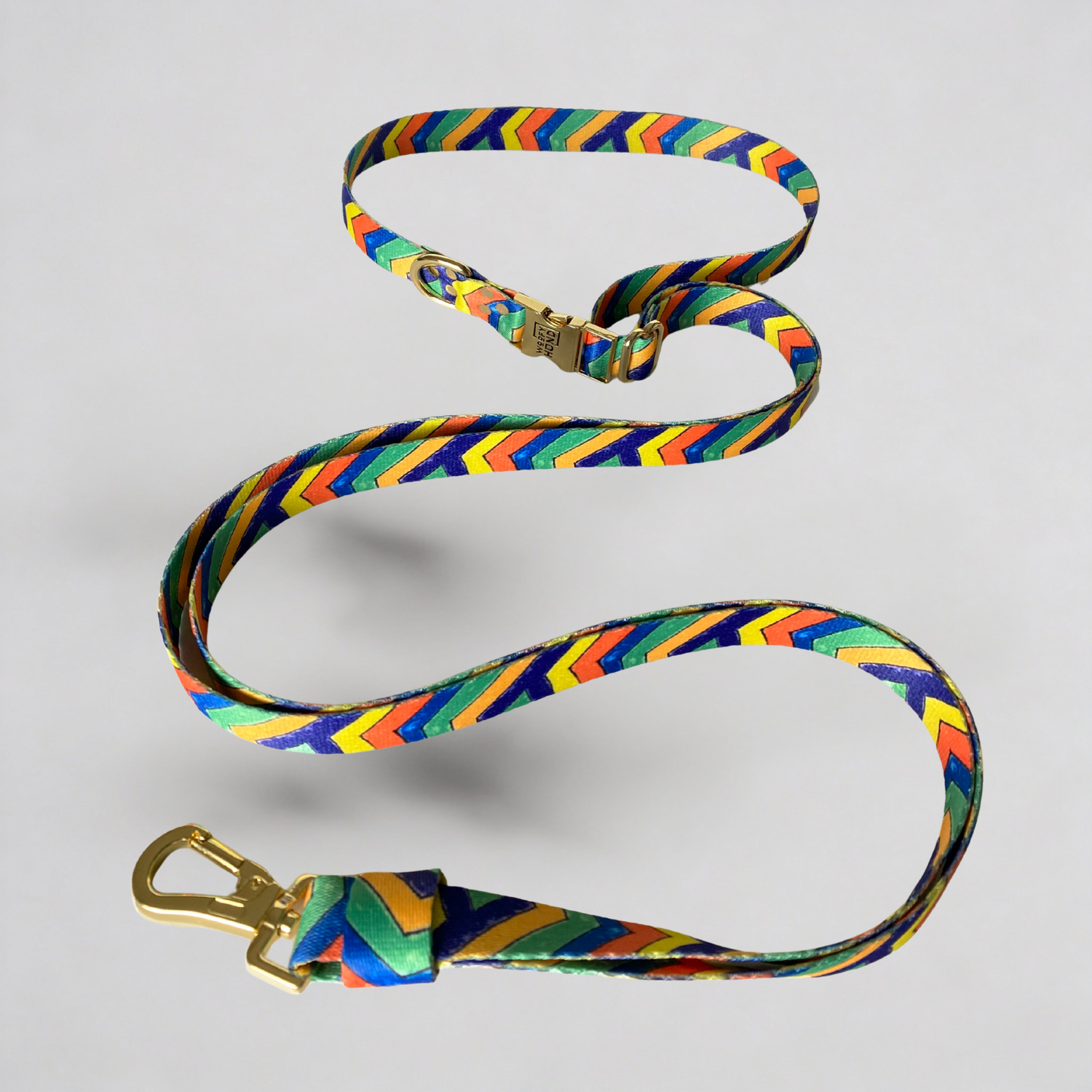 Hands-Free Leash Festival