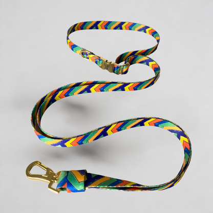 Hands-Free Leash Festival