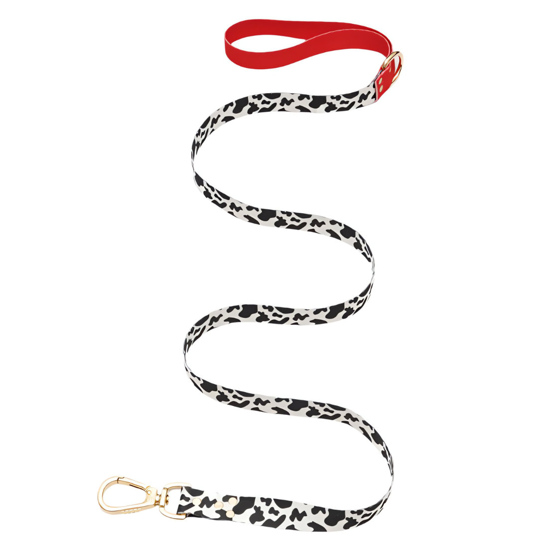 ROUGE Leash