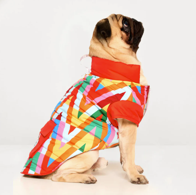 Color Splash Wasserdichte Pufferjacke