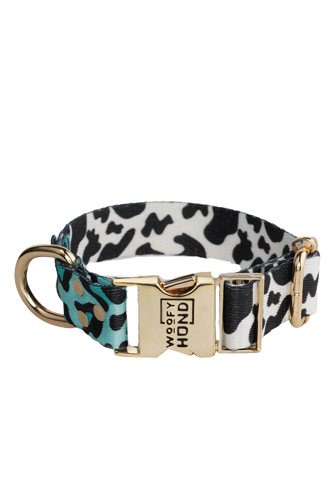 Collier AQUA CAMO