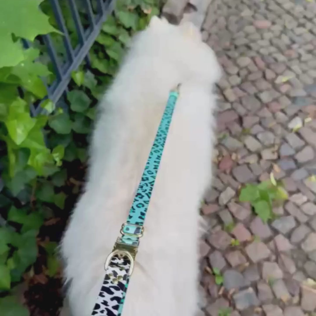 AQUA CAMO Hands Free