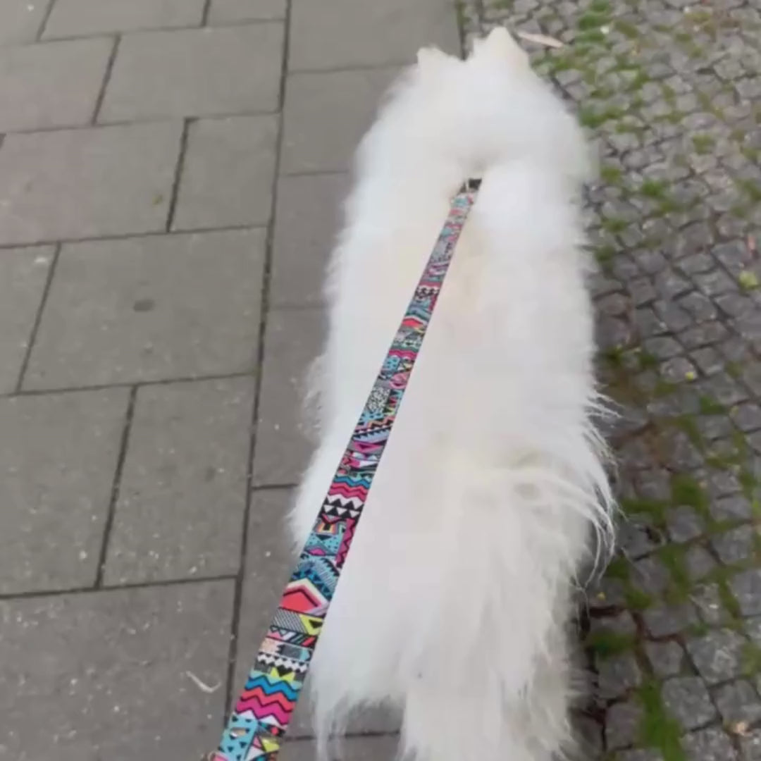 ETHNIC VIBRANCE Leash