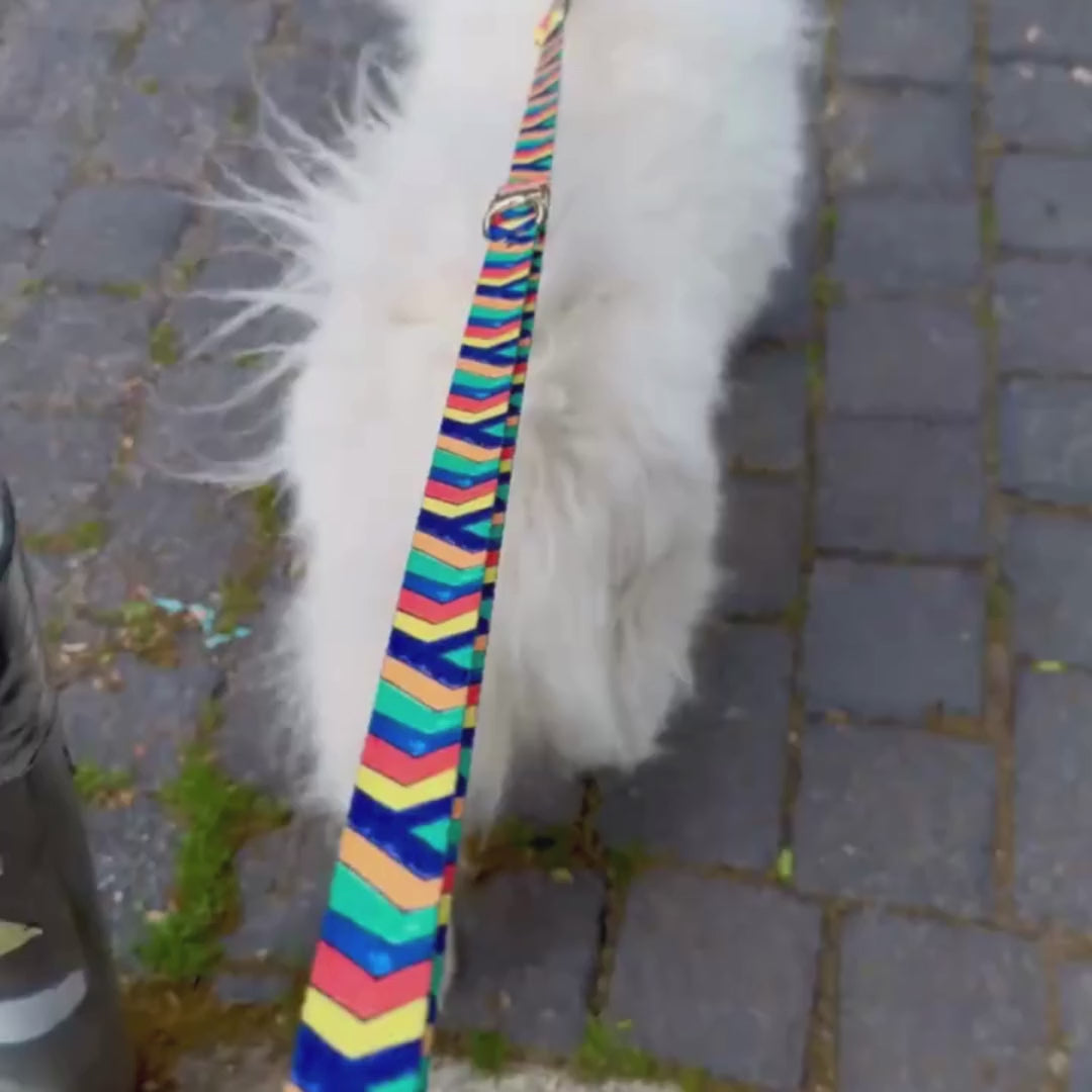 FESTIVAL Leash